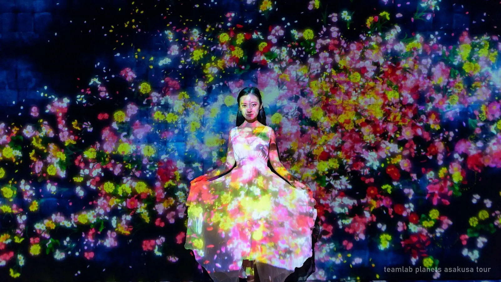 teamLab Planets and Asakusa Tour: 4 Hours with a Guide, $152 — photo from the booking listing, teamLab Planets TOKYO DMM, Tokyo