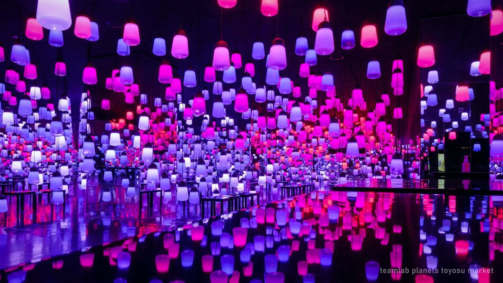 teamLab Planets and Toyosu Market Guided Tour: 3 Hours, $133 — photo from the booking listing, teamLab Planets TOKYO DMM, Tokyo