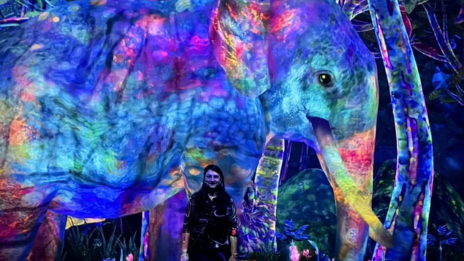 teamLab Planets and Toyosu Market Guided Tour: 3 Hours, $133 — photo from the booking listing, teamLab Planets TOKYO DMM, Tokyo