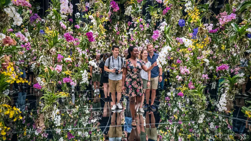teamLab Planets and Hama-rikyu Garden Tour: 3.5 Hours, $108 — photo from the booking listing, teamLab Planets TOKYO DMM, Tokyo