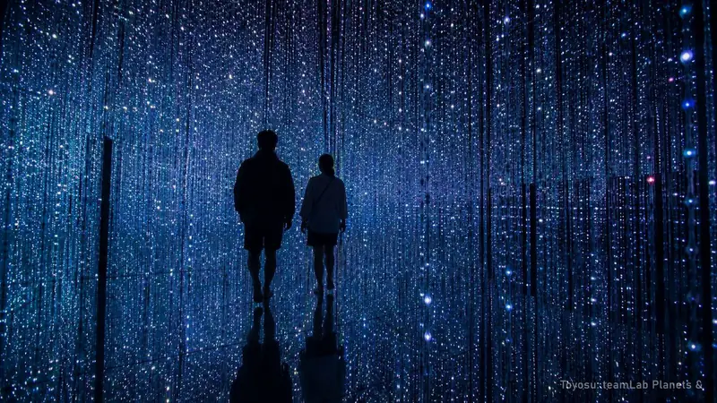 teamLab Planets and Asakusa Tour: 4 Hours with a Guide, $152 — photo from the booking listing, teamLab Planets TOKYO DMM, Tokyo